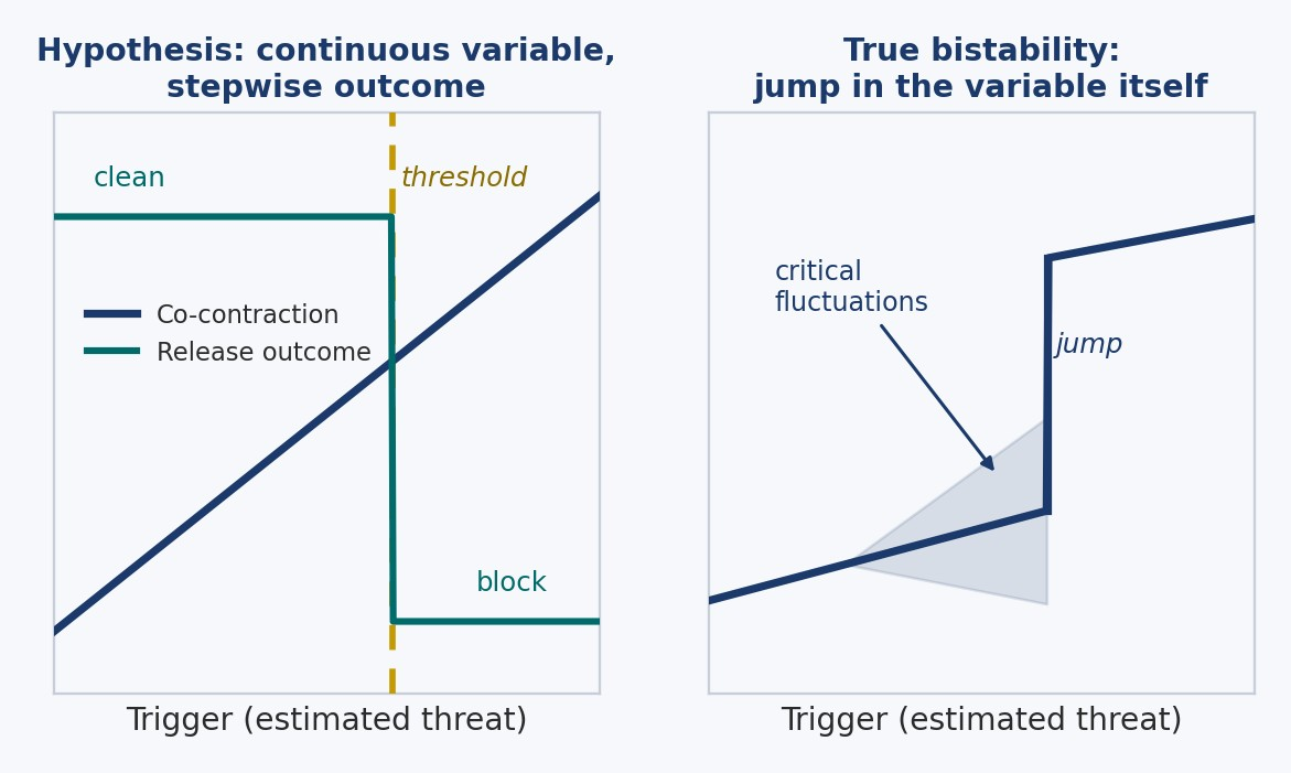 Figure 6. Threshold versus true bistability. On the left, what the hypothesis predicts: a variable (co-contraction) that rises smoothly, and an outcome that flips in a step at a threshold, with no critical fluctuations. On the right, how a true bistable transition would appear: a jump in the variable itself, preceded by rising variance and critical slowing. The disorder should resemble the left. Original diagram for teaching purposes.