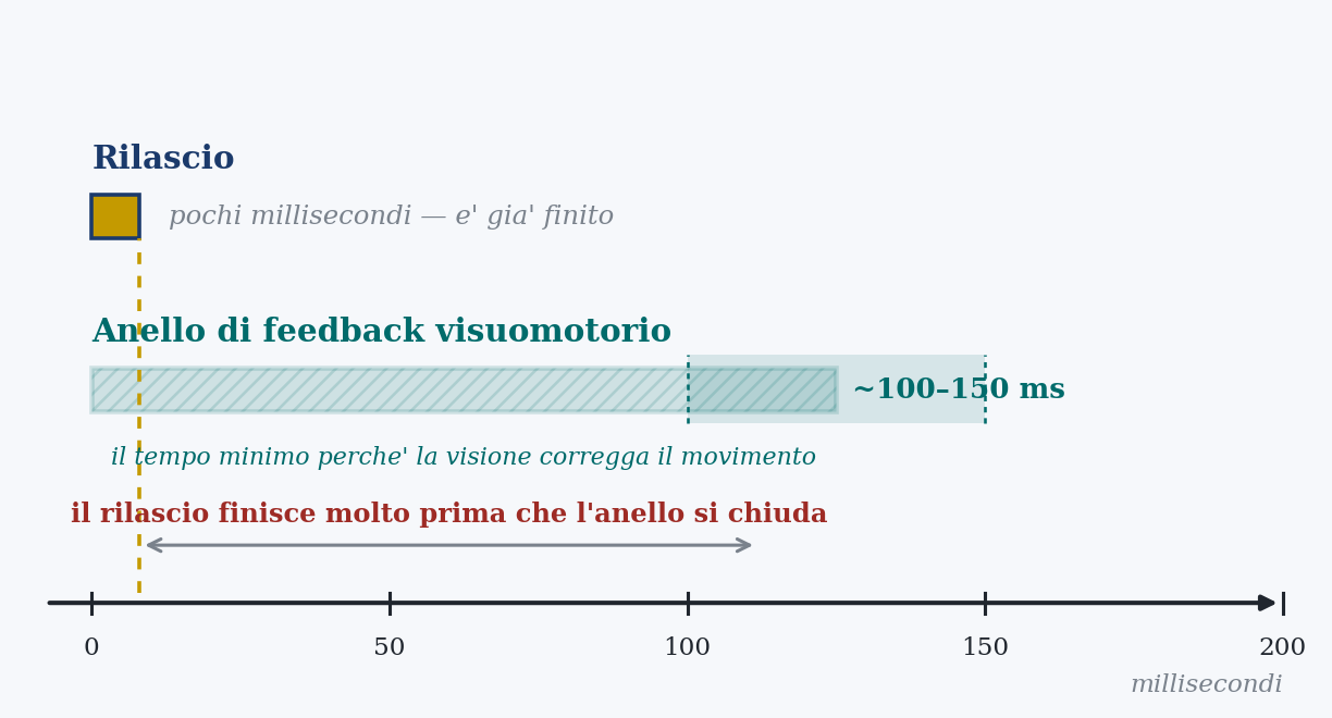 Figure 3. The window of time. The visual feedback loop takes about 100 to 150 ms to close; the release lasts a few milliseconds. The gesture is over long before vision can correct it: it cannot be piloted, it can only be launched. Original schematic representation for teaching purposes. Values representative of the trends, not original datasets.