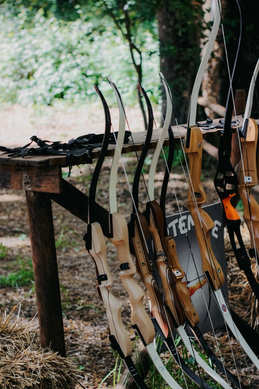 Sports bows lined up on a rack